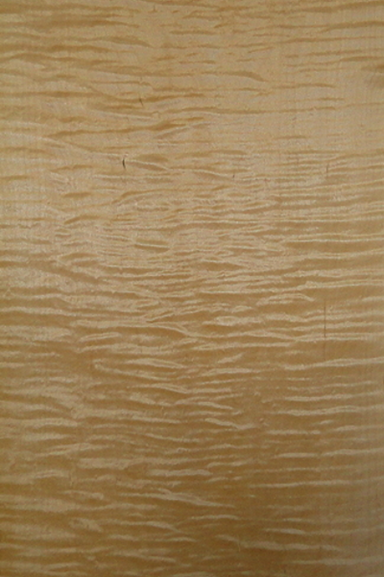 Curly Maple Veneer showcasing beautiful waves and patterns