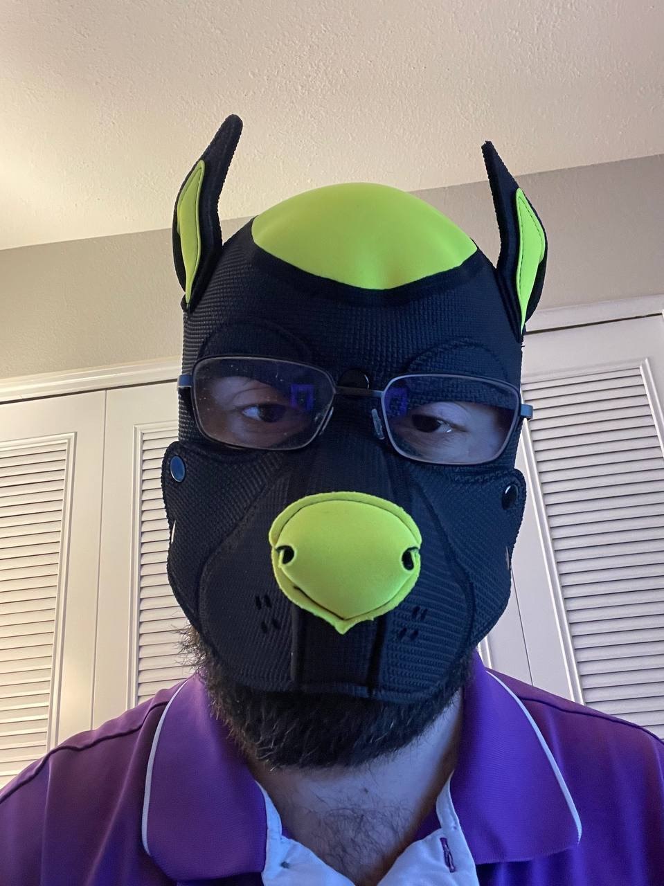 Pup Velli